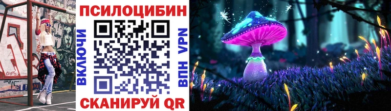 где продают   Белогорск  Псилоцибиновые грибы Cubensis 