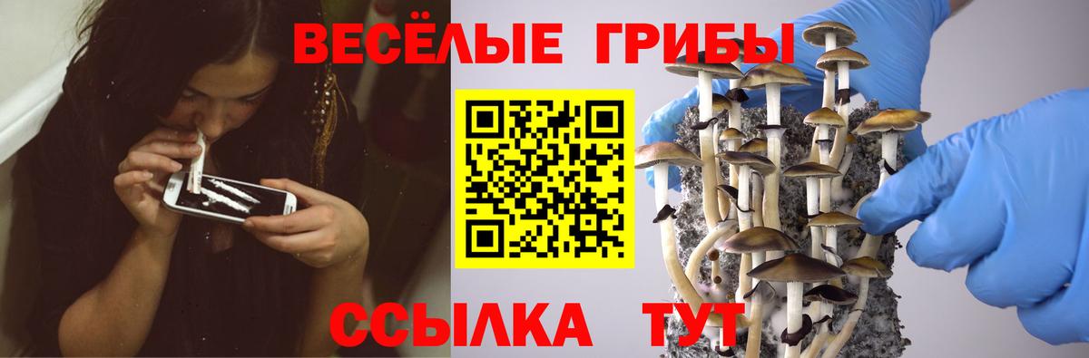 Белогорск  Псилоцибиновые грибы мухоморы  Вход с VPN  Галлюциногенные грибы мухоморы 